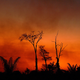 Smoke rises from a burnt area of land a the Xingu Indigenous Park, Mato Grosso state, Brazil, in the Amazon basin, on August 6, 2020.
